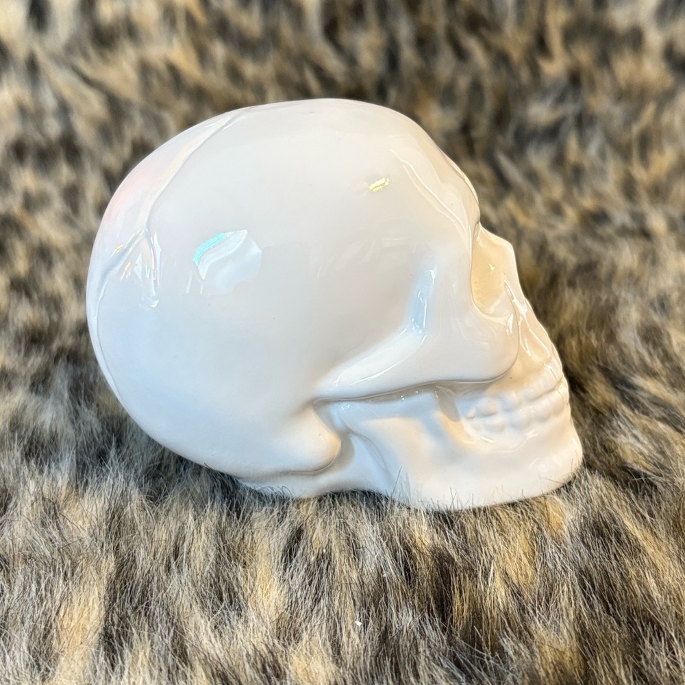 🆕White Ceramic Skull Decor, OS